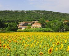 France Languedoc-Roussillon Baron vacation rental compare prices direct by owner 14285233