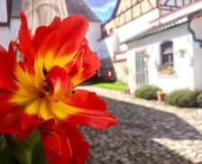 Germany Thuringia Jena vacation rental compare prices direct by owner 14174326