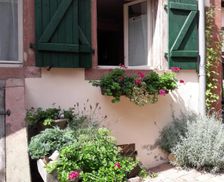 France Alsace Bouxwiller vacation rental compare prices direct by owner 16057889