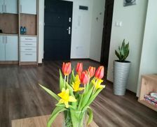 Poland Podlaskie Suwałki vacation rental compare prices direct by owner 14486425