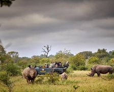 South Africa Mpumalanga Timbavati Game Reserve vacation rental compare prices direct by owner 13411955