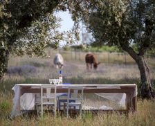 Portugal Alentejo Ferreira do Alentejo vacation rental compare prices direct by owner 13803127