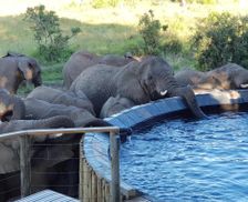 South Africa KwaZulu-Natal Nambiti Game Reserve vacation rental compare prices direct by owner 13666891