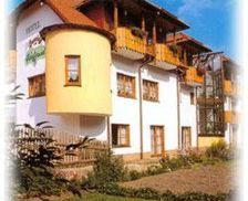 Germany Thuringia Frankenhain vacation rental compare prices direct by owner 14312890