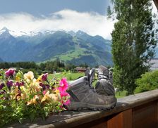 Austria Salzburg Zell am See vacation rental compare prices direct by owner 14434168