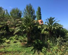 Portugal Madeira Islands Porto da Cruz vacation rental compare prices direct by owner 4881258