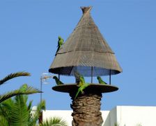 Spain Tenerife Costa Del Silencio vacation rental compare prices direct by owner 8759148