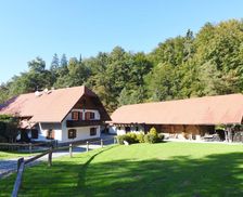 Slovenia Dolenjska (Lower Carniola) Novo Mesto vacation rental compare prices direct by owner 16368880