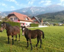 Slovenia Gorenjska Žirovnica vacation rental compare prices direct by owner 7331654