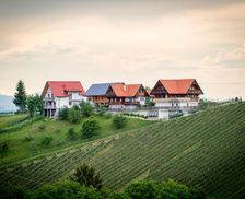 Austria Styria Leutschach vacation rental compare prices direct by owner 13699102