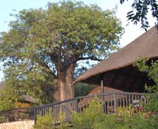 South Africa Limpopo Musina vacation rental compare prices direct by owner 11905894