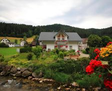 Germany Baden-Württemberg Hornberg vacation rental compare prices direct by owner 14114566