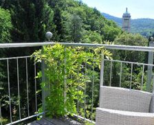 Germany BW Baden-Baden vacation rental compare prices direct by owner 23694869