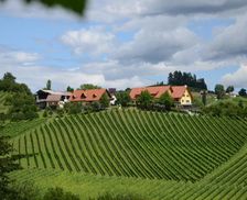 Austria Styria Leutschach vacation rental compare prices direct by owner 19417898