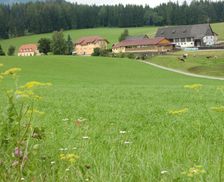 Austria Styria Mariahof vacation rental compare prices direct by owner 35013112