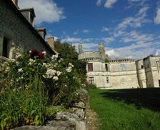 France Centre Veuil vacation rental compare prices direct by owner 14214712