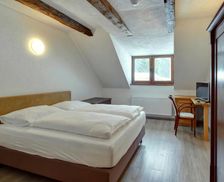 Czechia Pilsen Kaznějov vacation rental compare prices direct by owner 19284968