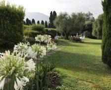 Italy Tuscany Lucca vacation rental compare prices direct by owner 14658195