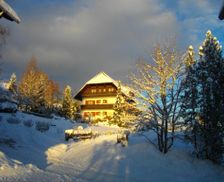 Austria Styria Schöder vacation rental compare prices direct by owner 13708616