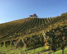 Austria Styria Leutschach vacation rental compare prices direct by owner 15792033