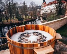 Czechia South Bohemia Český Krumlov vacation rental compare prices direct by owner 15185122