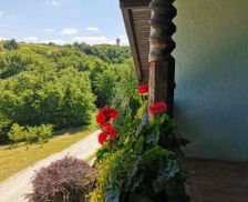 Slovenia Pomurje Lendava vacation rental compare prices direct by owner 18223017
