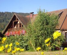 France Alsace Thannenkirch vacation rental compare prices direct by owner 14641057