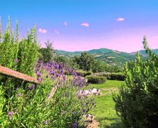 Italy Umbria Assisi vacation rental compare prices direct by owner 4765207