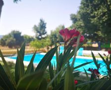 Spain Murcia Yecla vacation rental compare prices direct by owner 15147686