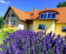 Hungary Fejer Etyek vacation rental compare prices direct by owner 13621663
