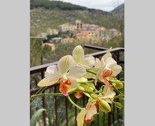 Italy Lazio Lenola vacation rental compare prices direct by owner 6535206