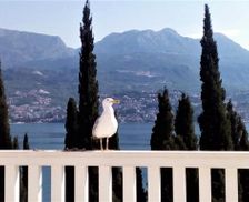 Montenegro Herceg Novi County Herceg-Novi vacation rental compare prices direct by owner 26899421