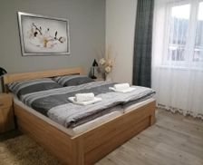 Czechia Pardubice Region Červená Voda vacation rental compare prices direct by owner 14342003