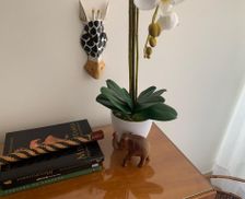 Spain Las Palmas Las Palmas de Gran Canaria vacation rental compare prices direct by owner 14722788