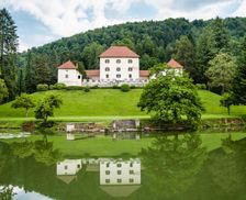 Slovenia Gorenjska Cerklje na Gorenjskem vacation rental compare prices direct by owner 13935508