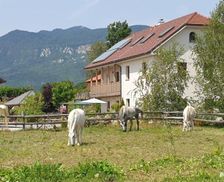 Slovenia Notranjska Postojna vacation rental compare prices direct by owner 16006628