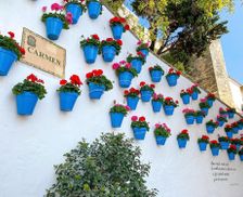 Spain Málaga Marbella vacation rental compare prices direct by owner 8469638