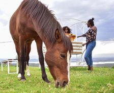 Kenya Nakuru County Elmenteita vacation rental compare prices direct by owner 15982693