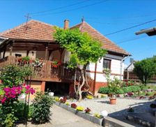 Romania Satu Mare Tăşnad vacation rental compare prices direct by owner 26325355