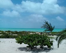 Bahamas Bahamas Salina Point vacation rental compare prices direct by owner 32486156