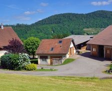 France Vosges Saint-Maurice-sur-Moselle vacation rental compare prices direct by owner 33454301