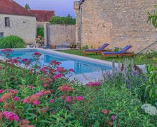 France LE PAYS D'OTHE - ARMANCE MAISONS LES CHAOURCE vacation rental compare prices direct by owner 34771981