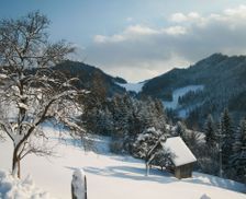 Austria  Laussa vacation rental compare prices direct by owner 36129291