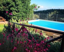 Italy Toskana Ravi vacation rental compare prices direct by owner 36023887