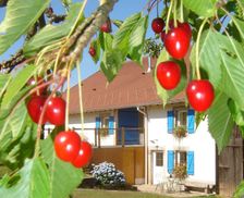 France Grand Est Girmont-Val-D'ajol vacation rental compare prices direct by owner 4762453