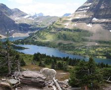 United States Montana West Glacier vacation rental compare prices direct by owner 400711