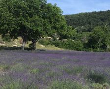 France Auvergne-Rhône-Alpes Mévouillon vacation rental compare prices direct by owner 5158073