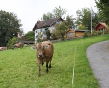 Switzerland Bodensee-Thurgau Neukirch vacation rental compare prices direct by owner 4657847