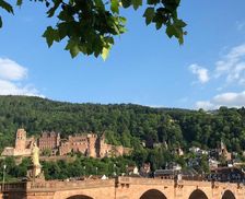 Germany  Heidelberg vacation rental compare prices direct by owner 4854537