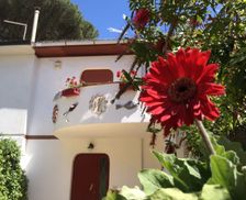 Italy Tuscany Cecina vacation rental compare prices direct by owner 4610164